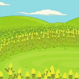 Cornfields