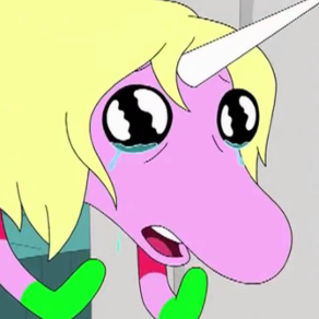 Lady Rainicorn's Floop